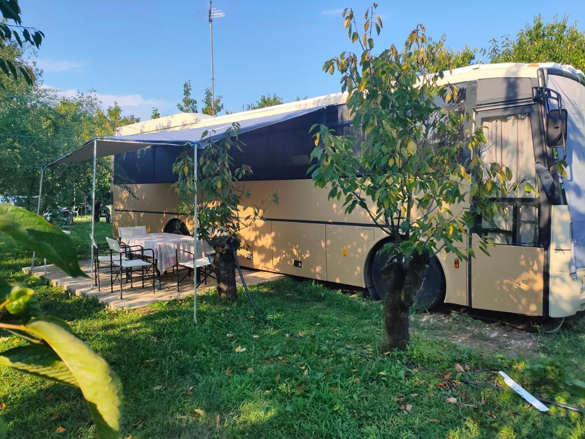 Готель Terrebiobus Visnadello Екстер'єр фото